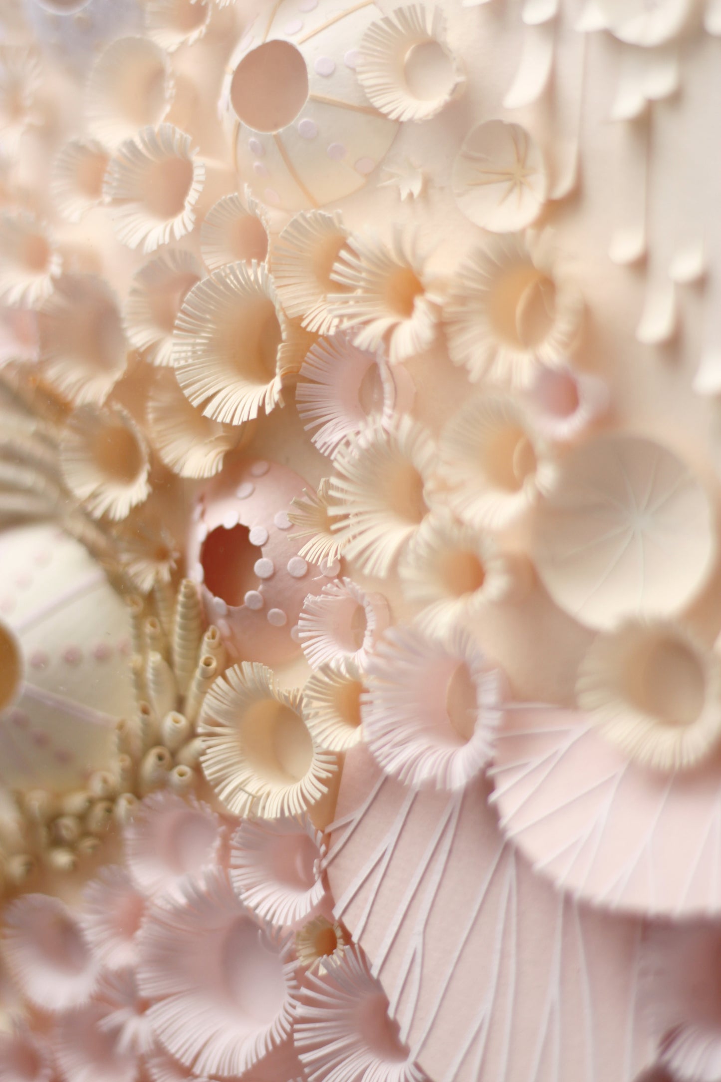 Sérénité Abyssale