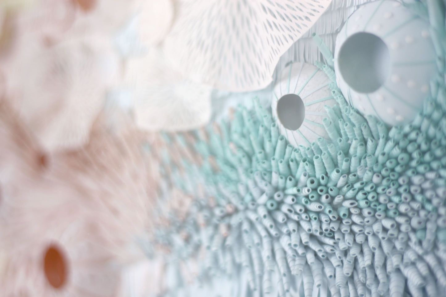 Tranquillité aquatique