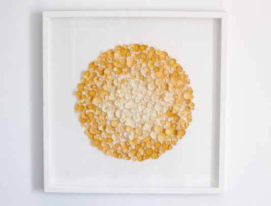 L U M E A  III - Mon soleil