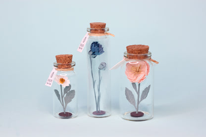 Fiole FLEUR papier TRIO