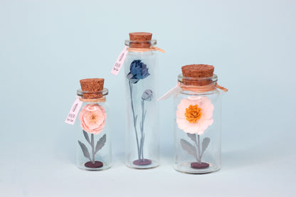 Fiole FLEUR papier TRIO