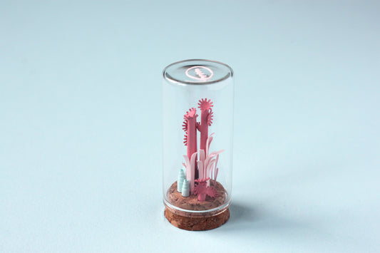 Fiole récif de coraux