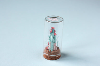 Fiole récif de coraux