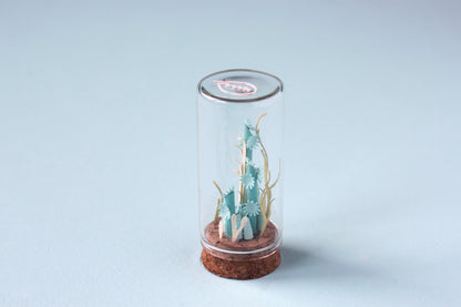 Fiole récif de coraux