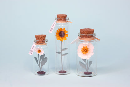 Fiole FLEUR papier TRIO