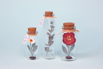 Fiole FLEUR papier TRIO