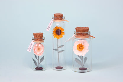 Fiole FLEUR papier TRIO